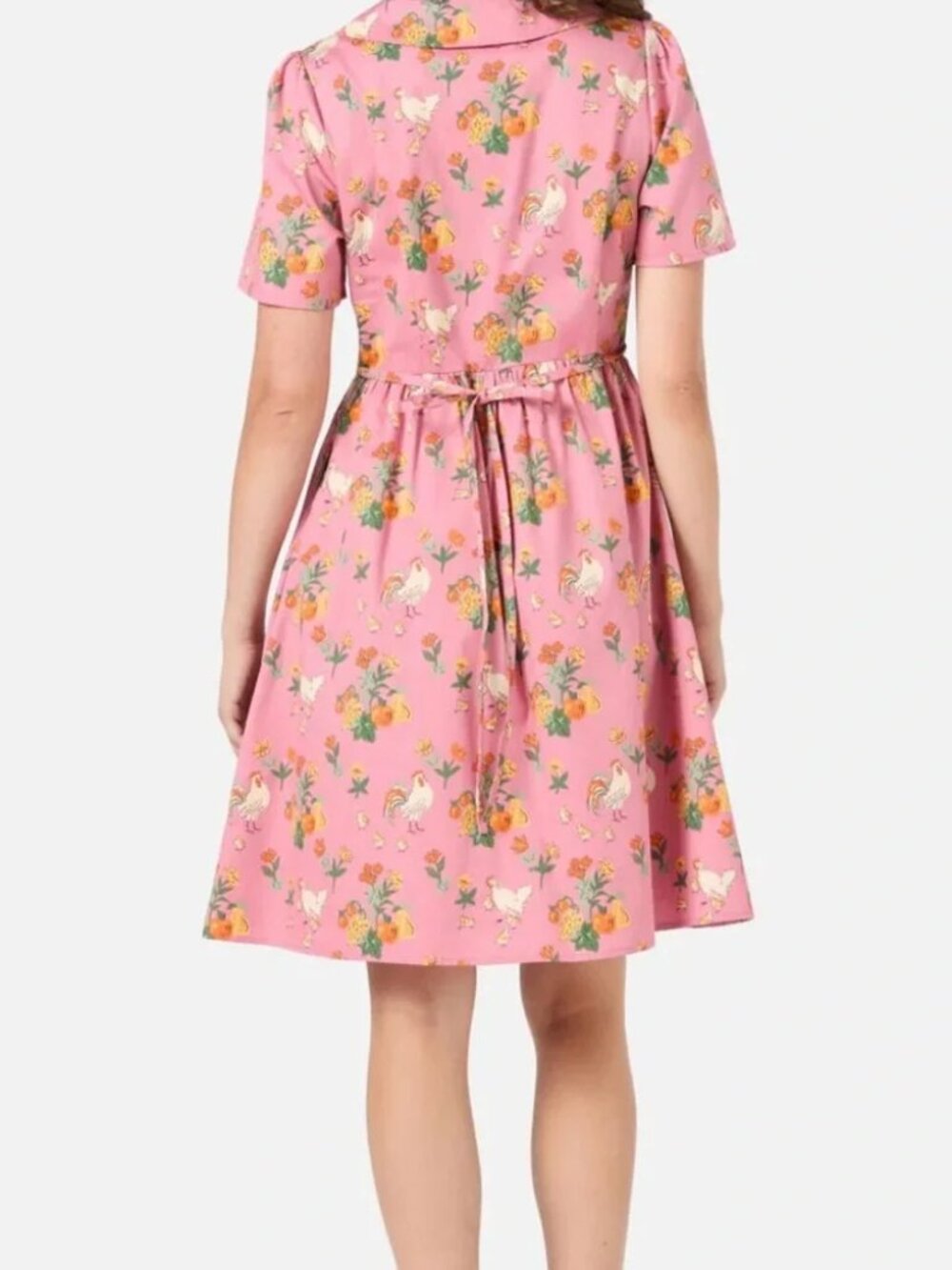 Princess Highway Chicken Dress - Picture 4 of 5